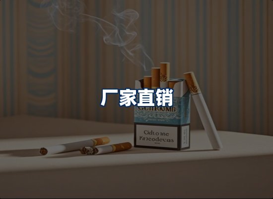 专业团队办公环境